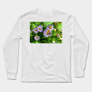 Bee on Purple Aster Long Sleeve T-Shirt